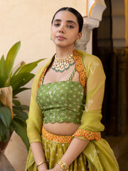 Green Vasansi Silk Lehenga set