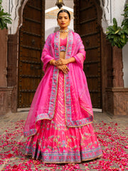 Pink Vasansi Silk Printed Lehenga Set