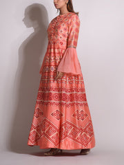 Peach Chanderi Highlighted Gown