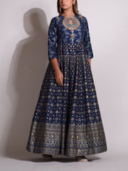 Blue Vasansi Silk Highlighted Gown