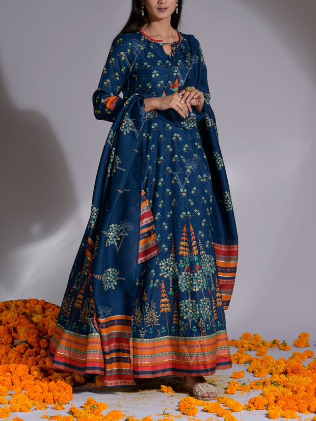 Blue Vasansi Silk Printed Anarkali Gown