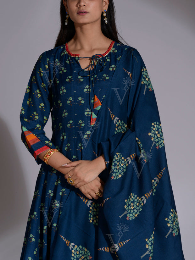 Blue Vasansi Silk Printed Anarkali Gown