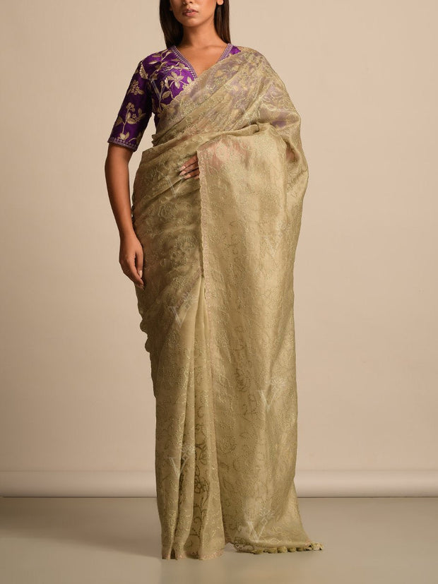 DD00, organza, silk, dropship, chanderi, saree