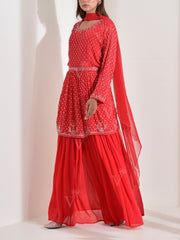 Red Crepe Embroidered Kurta and Palazzo Set