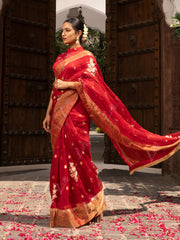 Red Banarasi Organza Saree