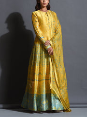 Yellow Silk Printed Anarkali Gown