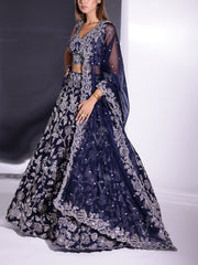 Blue Organza Lehenga Set