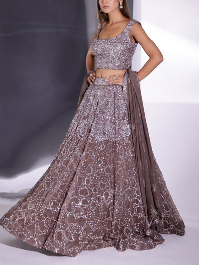 Brown Organza Lehenga Set