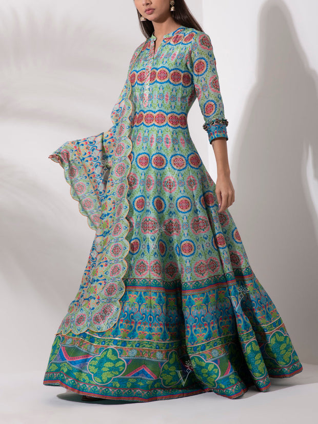 Blue Vasansi Silk Printed Anarkali Gown