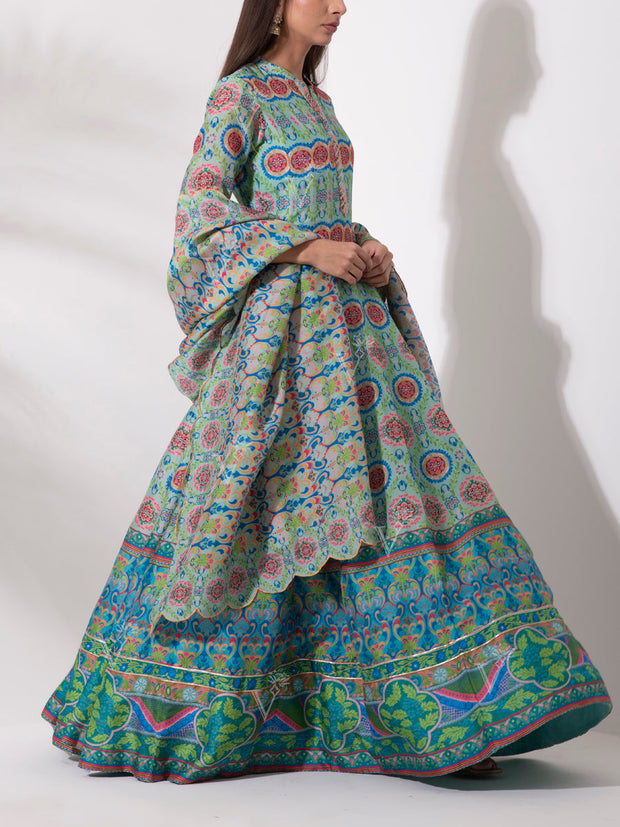 Blue Vasansi Silk Printed Anarkali Gown