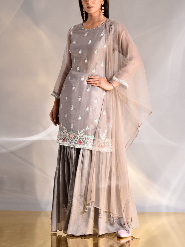 Biege Organza Embroidered Kurta and Sharara Set