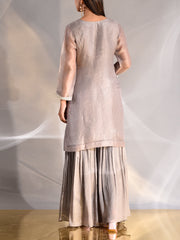 Biege Organza Embroidered Kurta and Sharara Set