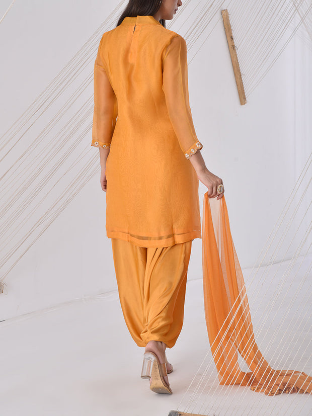 Ocher Yellow Organza Salwar Suit