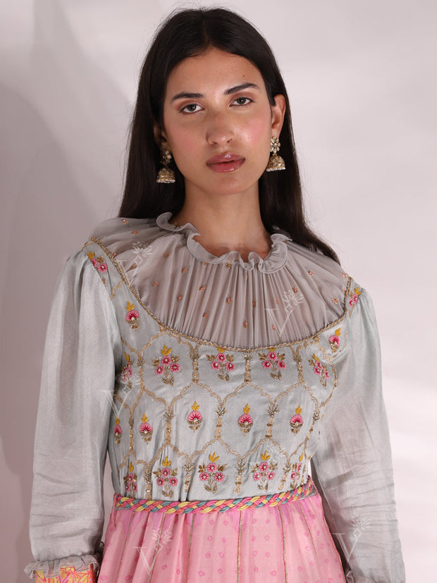 Pastel Vasansi Silk Printed Anarkali Gown