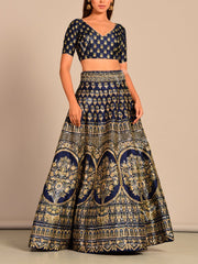 Blue Silk Pearl Brush Lehenga Set