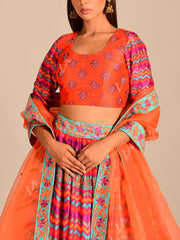 Multi Color Handcrafted Silk Lehenga Set