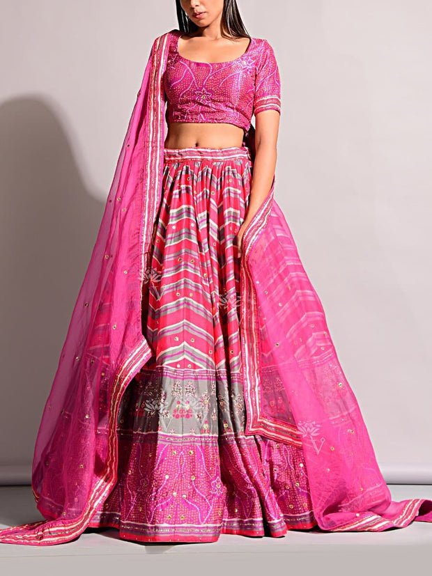 Lehenga, Printed, Lehenga set, Choli, Navratri lehenga, Zari work, Sequence work, Party wear, Designer wear, Leheriya