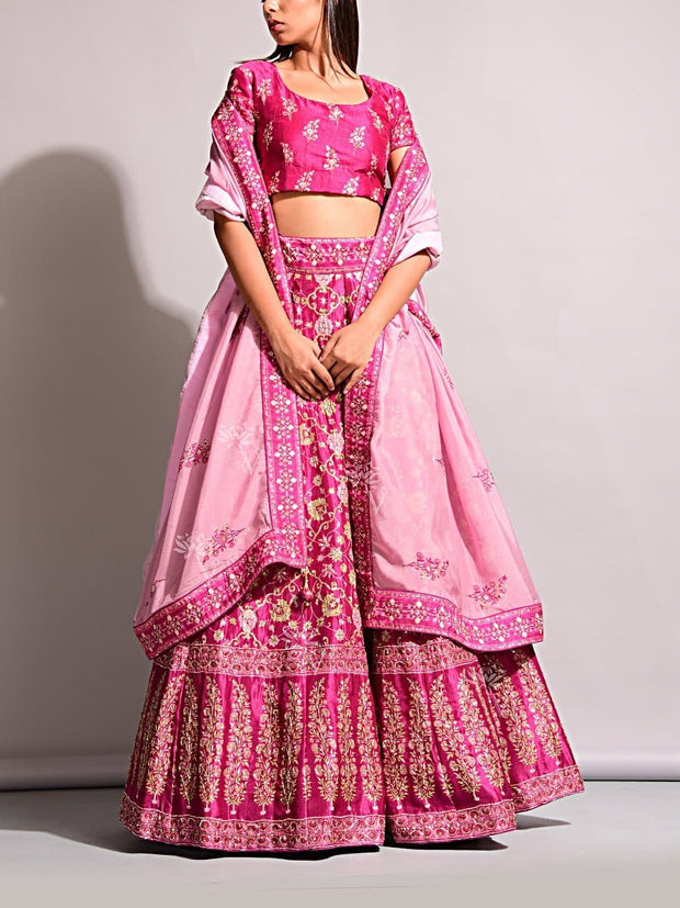 Lehenga, Printed, Lehenga set, Choli, Navratri lehenga, Zari work, Sequence work, Party wear, Designer wear